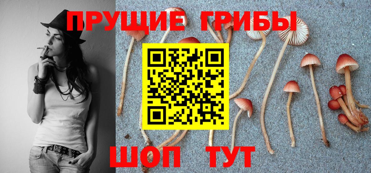Псилоцибиновые грибы MAGIC MUSHROOMS Прокопьевск